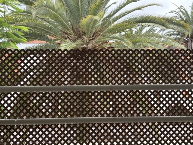 Desenfocada